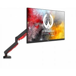 iiyama DSG3001C-R1