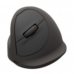 Fellowes Breyta souris verticale