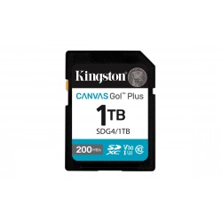 Kingston Canvas Go Plus 1 To