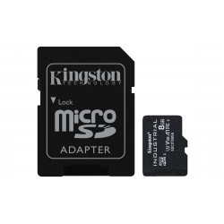 Kingston Industrial 8Go